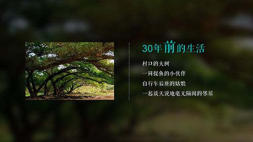 方圓地產(chǎn)·東江月島影視策劃案 一場關(guān)于理想棲居與光影藝術(shù)的交響